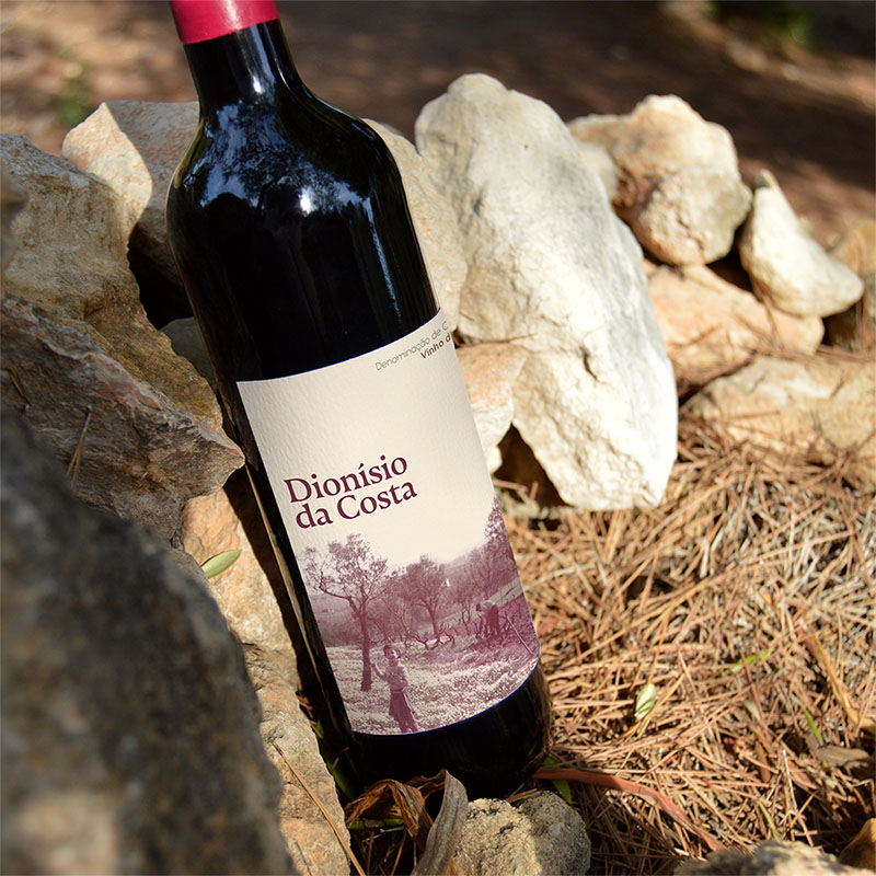 Fotografia de producte d'una ampolla de vi recolzada a unes pedres, amb especial focus en l'etiqueta.